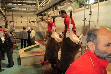 عید سعید قربان-گیلان 98